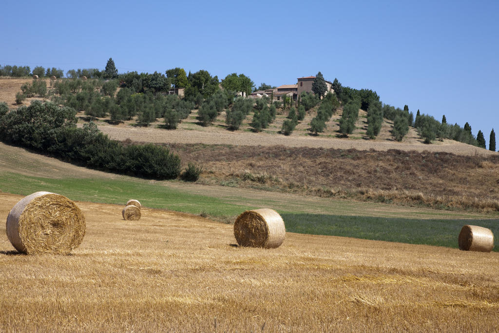 Agriturismo Podere Olivello In Val D'Orciaモンタルチーノ エクステリア 写真